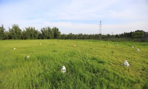 完善系統(tǒng)解決方案，助力實(shí)現(xiàn)“雙碳”目標(biāo)丨“創(chuàng)新100”走進(jìn)普瑞億科